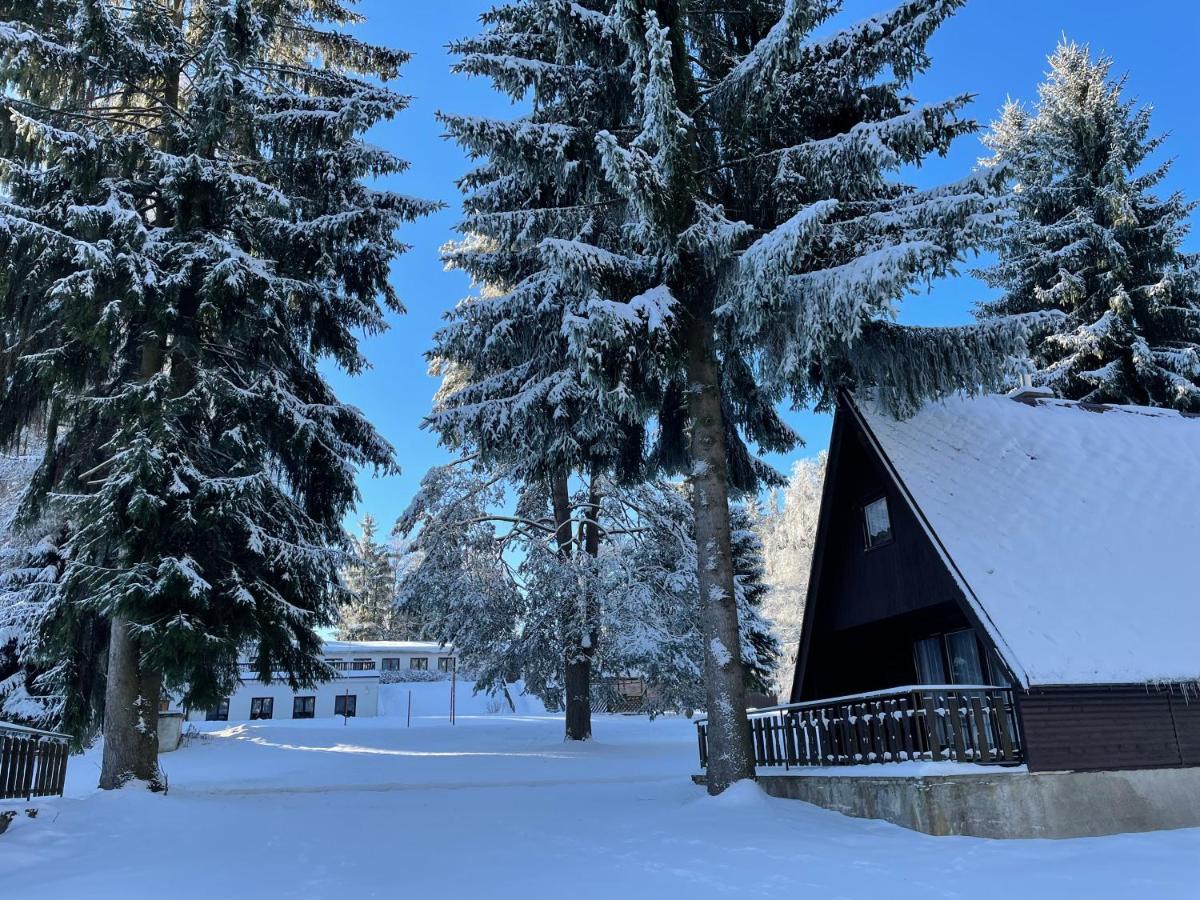 Hotel a Penzion PEGAS Vlachovice Exteriér fotografie