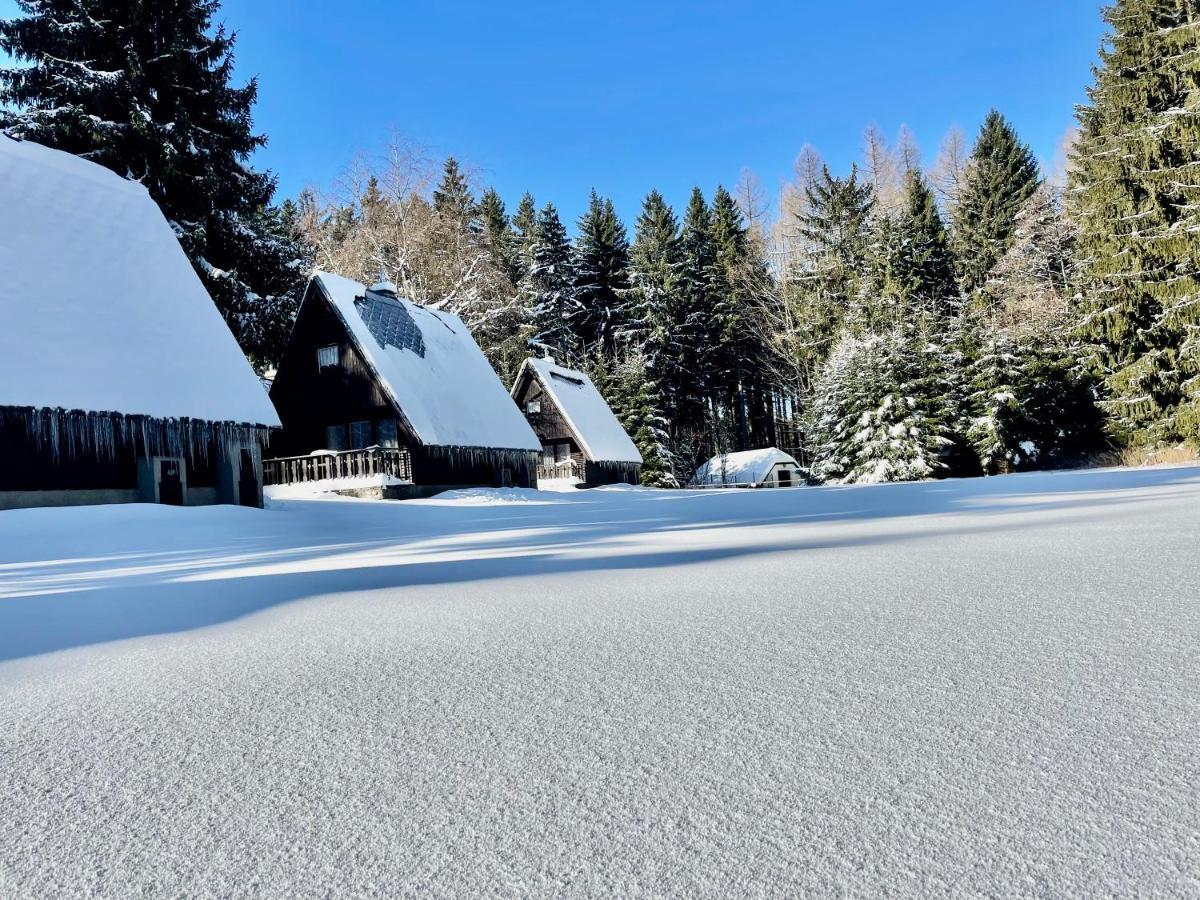 Hotel a Penzion PEGAS Vlachovice Exteriér fotografie